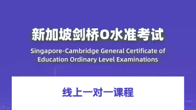 O-Level线上一对一课程