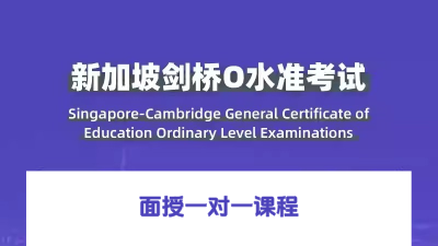 O-Level面授一对一课程
